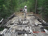 dodgy bridge.jpg
