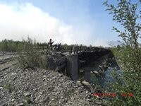 into the forrest fires.jpg