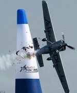 bird 2.jpg