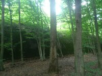 DSC_0191.jpg