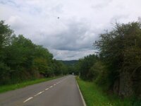 DSC_0228.jpg