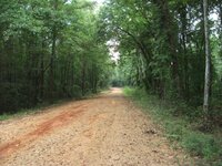 Gravel road.JPG