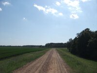 Levee.JPG