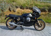 guzzi (Small).jpg
