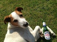 relaxing with a beer.jpg