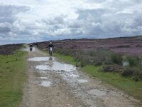 Rudland Rigg 14-08-11 004.jpg