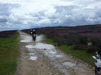 Rudland Rigg 14-08-11 005.jpg
