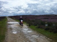 Rudland Rigg 14-08-11 006.jpg