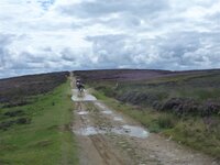 Rudland Rigg 14-08-11 007.jpg