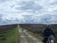 Rudland Rigg 14-08-11 008.jpg