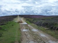 Rudland Rigg 14-08-11 009.jpg