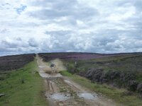Rudland Rigg 14-08-11 010.jpg