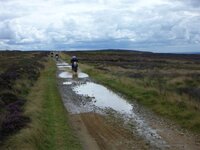 Rudland Rigg 14-08-11 011.jpg