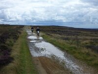 Rudland Rigg 14-08-11 012.jpg