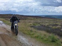 Rudland Rigg 14-08-11 014.jpg