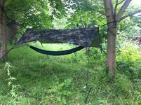 hammock.jpg