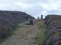 Rudland Rigg 14-08-11 016.jpg