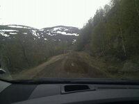 Fjellveien Vågåmo lesja mai 2010 irene.jpg