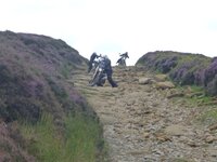 Rudland Rigg 14-08-11 017.jpg