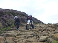 Rudland Rigg 14-08-11 019.jpg
