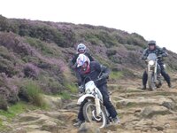 Rudland Rigg 14-08-11 020.jpg