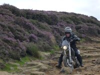 Rudland Rigg 14-08-11 022.jpg