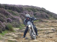 Rudland Rigg 14-08-11 023.jpg