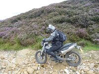 Rudland Rigg 14-08-11 026.jpg