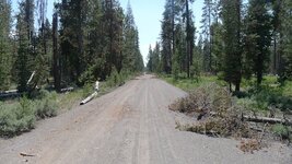 Oregon dirt.JPG