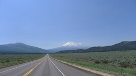 Shasta.JPG