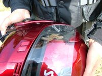 Lizardhelmet3S.jpg