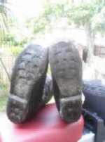 pic103.jpg