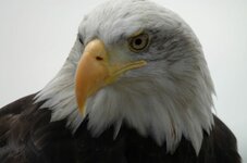 downsized 15x10.jpg