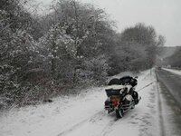 snow raven 01.jpg