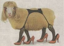 welsh-hooker1.jpg
