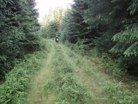 1 enduro.jpg