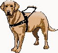 guide_dog.gif