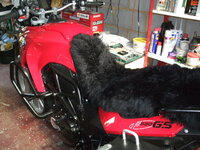 2011_0819bike0002.JPG