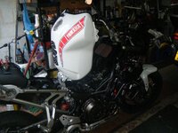 DSCF8539.jpg