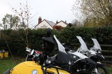 IMG_8867.jpg