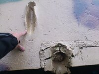 DSC_0212.jpg