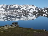 DSCF0781.jpg