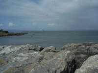 harbour.jpg