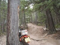 Up the hill small.jpg