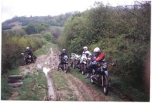 green lane (Medium).jpg