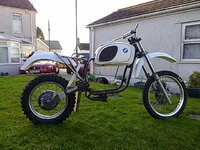 new bike garden 002.jpg