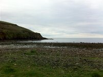 carol's phone 008 (Medium).jpg