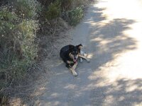 IMG_1355.jpg