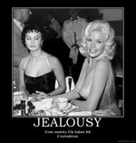jealousy-jealousy-boobs-swanky-demotivational-poster-1231126123.jpg