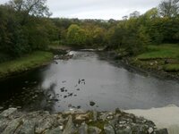 04102012211.jpg